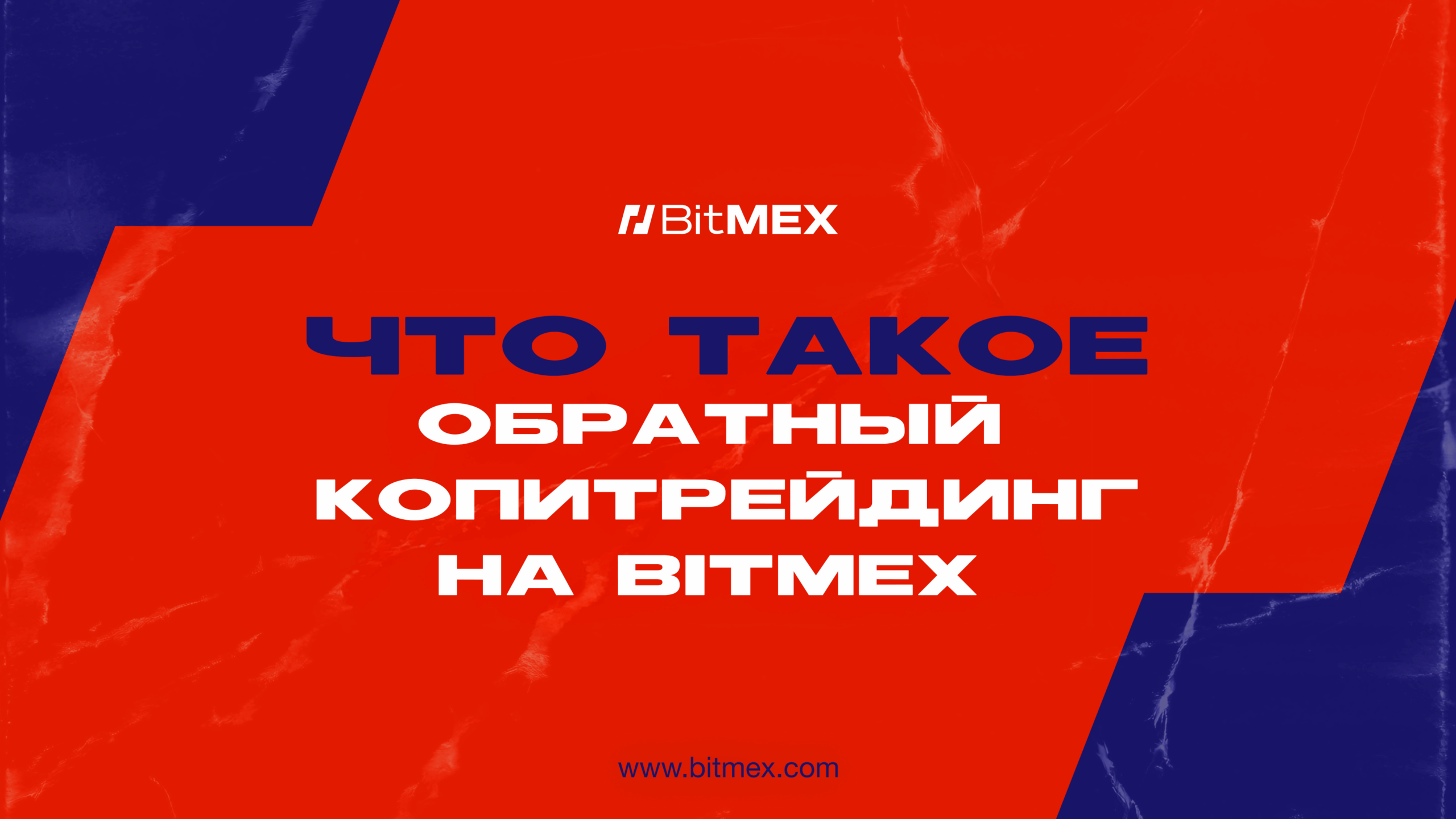 Что такое обратный копитрейдинг на BitMEX? | BitMEX Blog