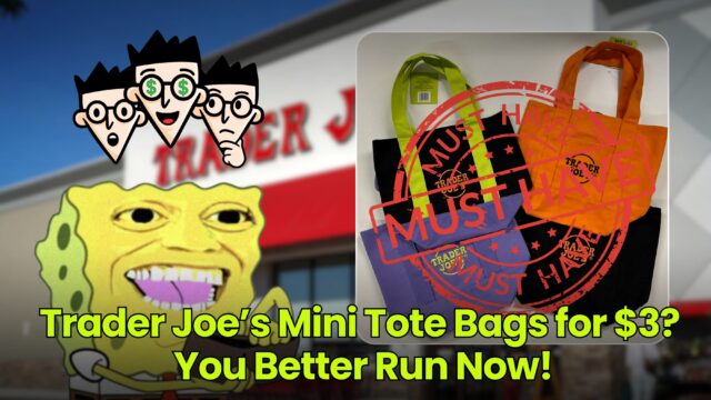 Trader Joe’s Mini Tote Bags for $3? You Better Run Now