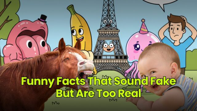 Funny Facts That Sound Fake But Are Too Real