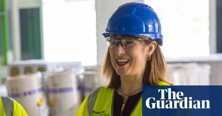 Nature groups rebuke Reeves for ‘cynical’ 11th-hour planning bill changes