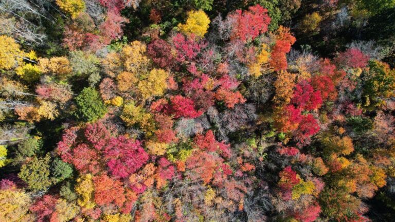 Turn Turn Turn - Fat Tail Daily