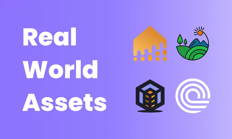 30 Real-World Asset (RWA) Platforms and Blockchains | BitcoinChaser