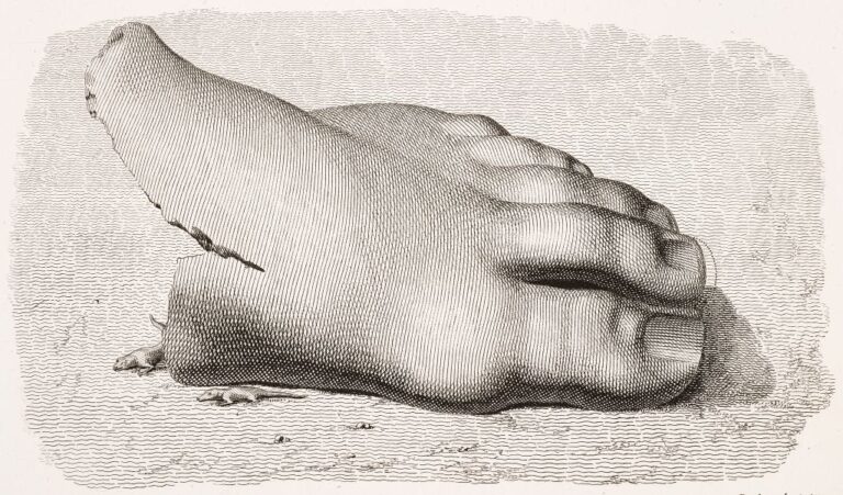 Colossal Wrecks - Fat Tail Daily