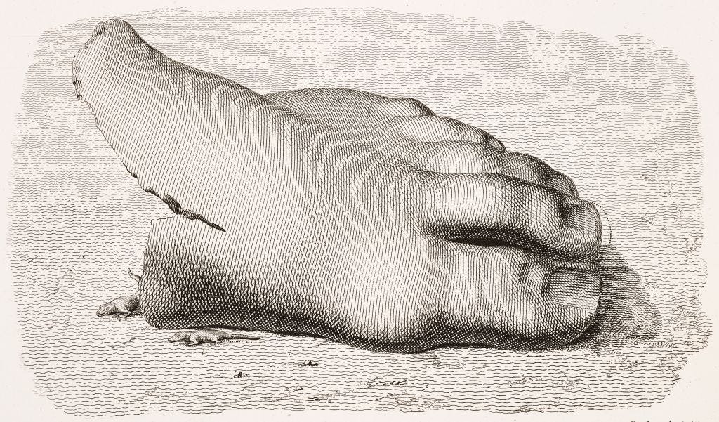 Colossal Wrecks - Fat Tail Daily