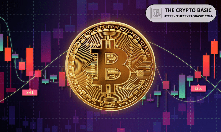 Image Owned By The Crypto Basic. Logo Displayed In The Image Are Owned By Respective Crypto Project