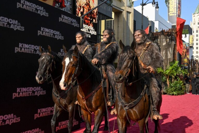 Apes Together Strong - Fat Tail Daily