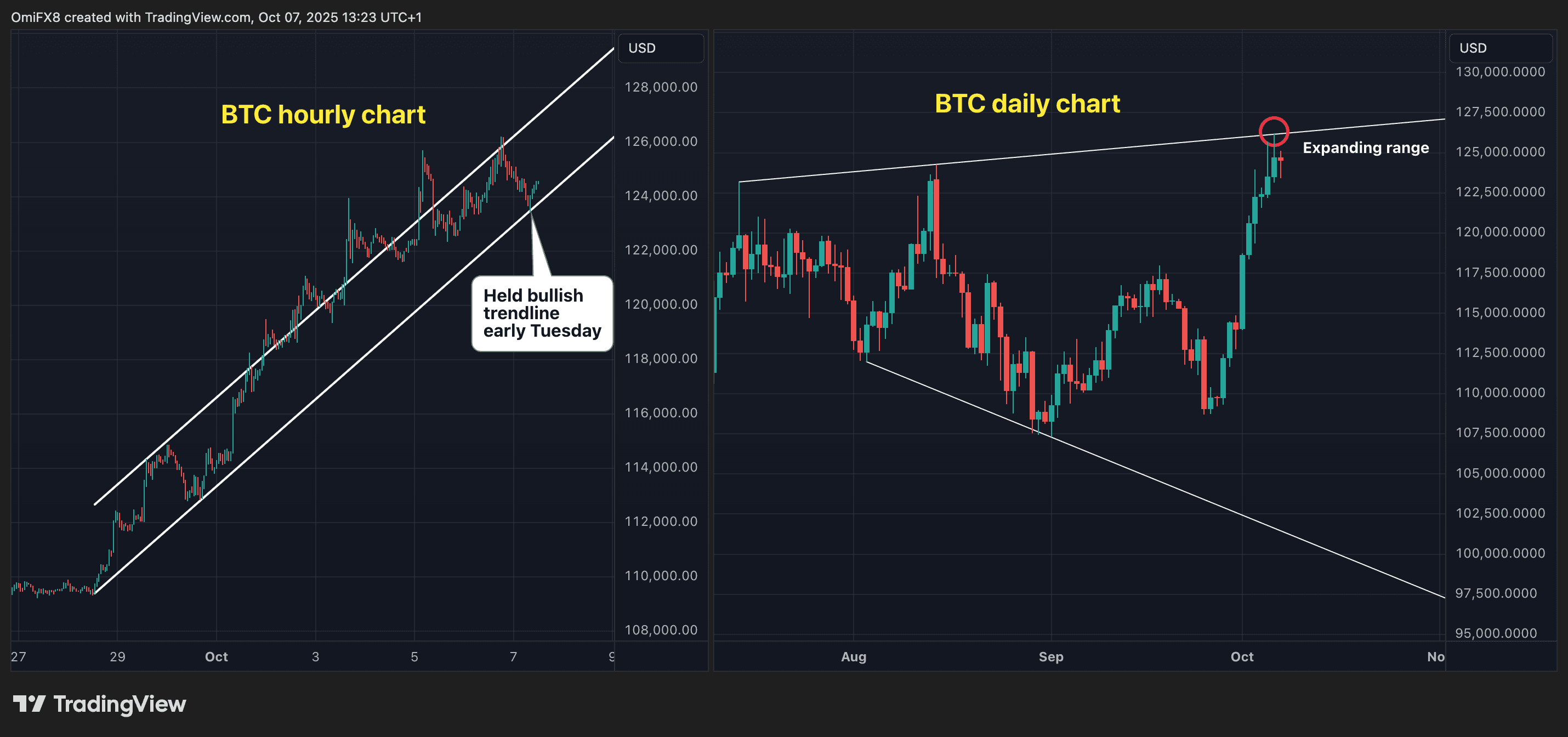BTC's price charts in candlestick format. (CoinDesk/TradingView)