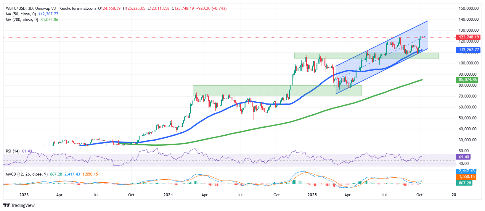 Bitcoin Price Chart Analysis Source: GeckoTerminal