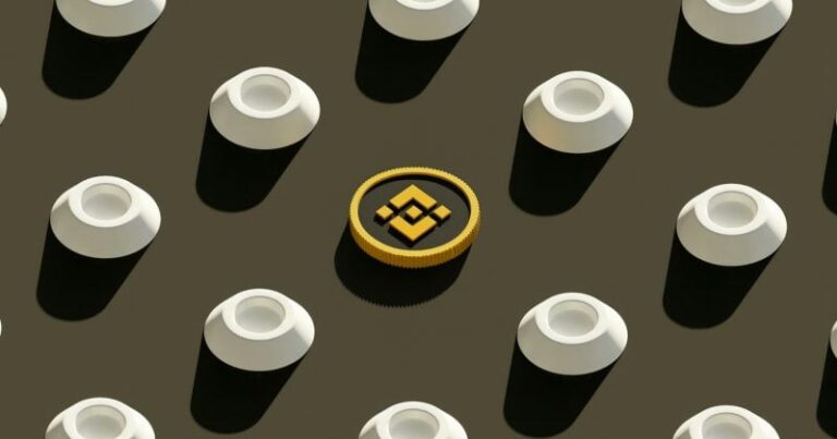 China Renaissance seeks $600M for BNB investment vehicle with YZi Labs participation