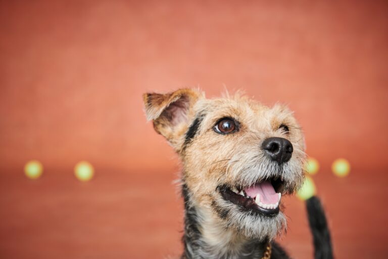 High-Yield Investors Get Hammered