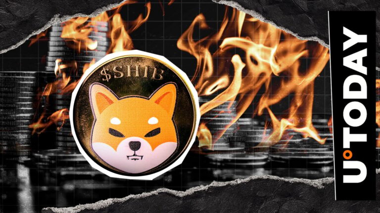 Shiba Inu Burn Rate Crashes 99% as Crypto Sees Largest Liquidation Event Ever - U.Today