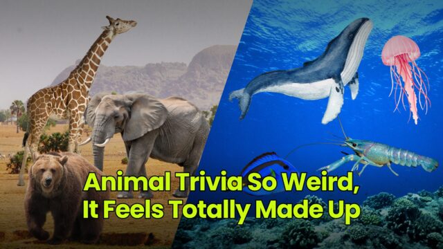 Animal Trivia So Weird, It Feels Totally Made Up