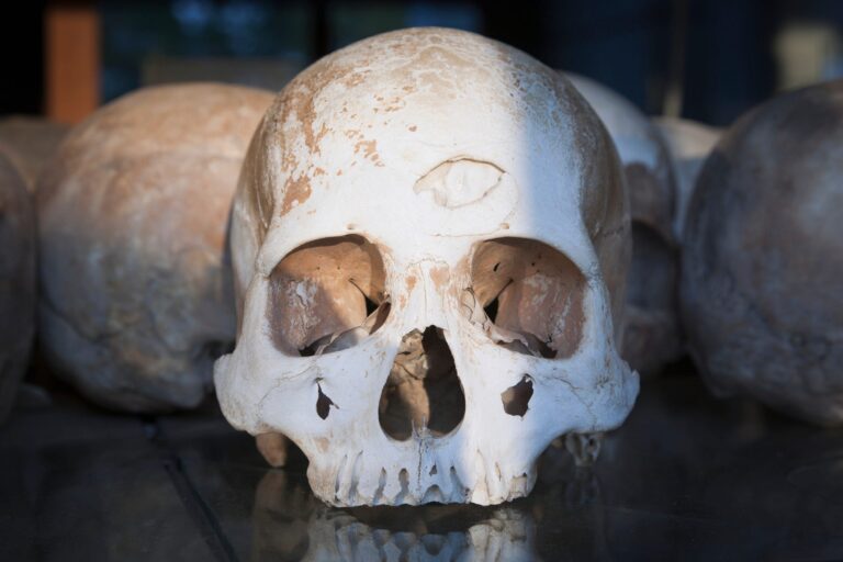 The Real Secret of Government - Fat Tail Daily