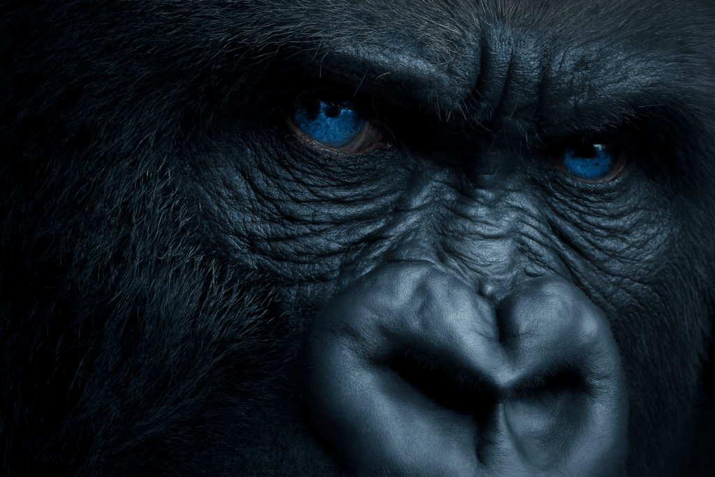 You Wanna Muck With This? - Try Me - Crypto Bottom! - Forex Trading With Kong