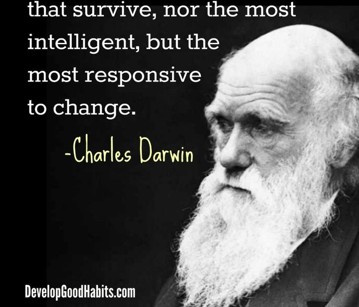 How We Develop:  As People, As Traders