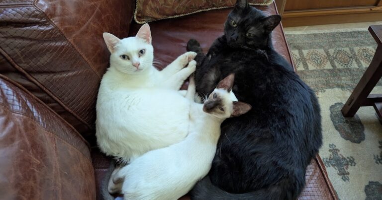 Making Trading Enjoyable