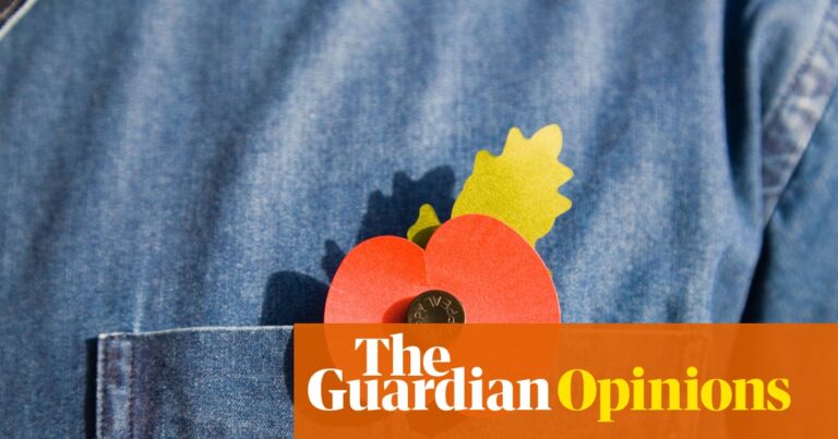 Arguing about whether or not to wear a poppy misses the most crucial point | Zoe Williams