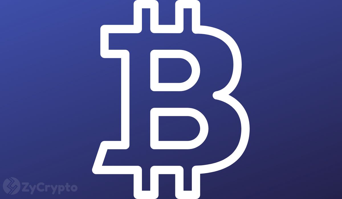 Ark Invest Ramps Up Crypto Exposure; Wood Sees Market Liquidity Turn Ahead