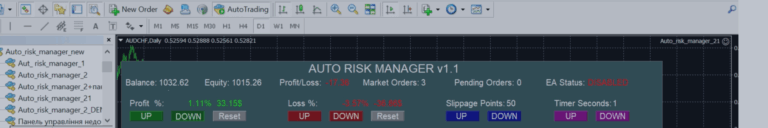 Auto risk manager PRO