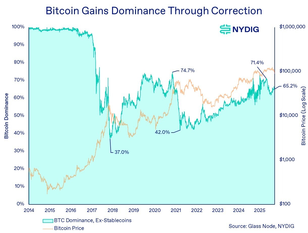 Bitcoin Demand Reverses but Long-Term Growth Story Holds - AabeyLLC Crypto