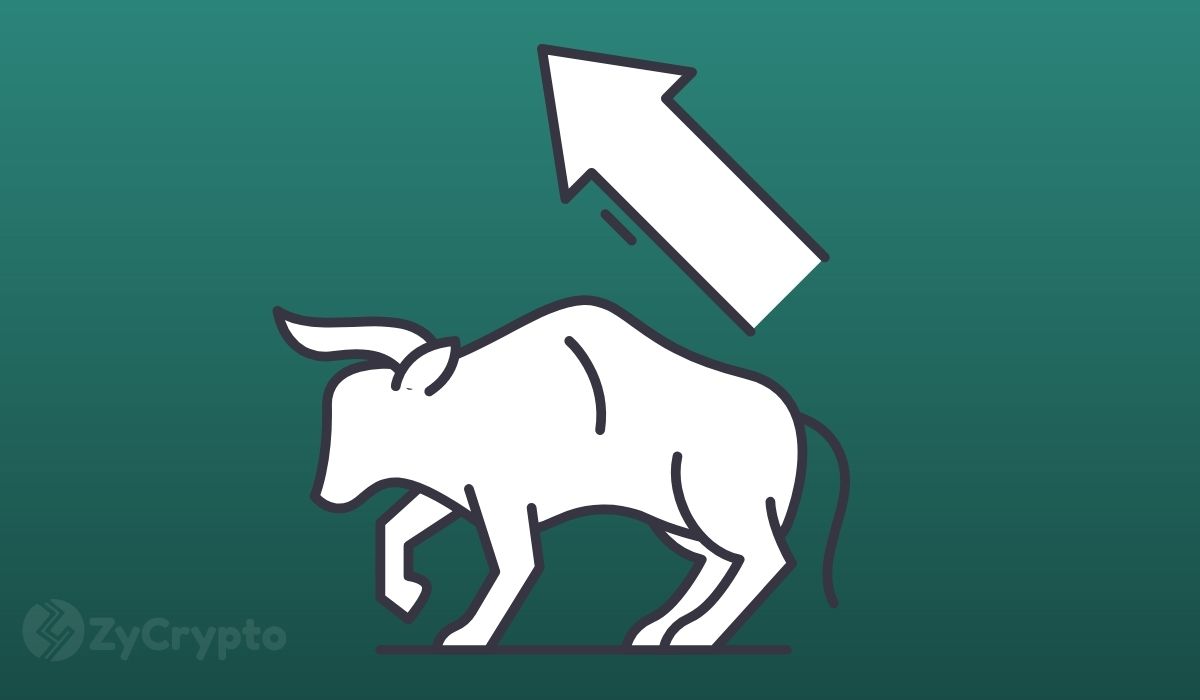 Did 2025 Host the Worst Crypto Bull Run Ever? Market Player Takes Deep Dive