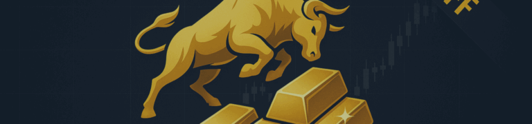 Discover my philosophy and my automated system