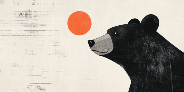 Best Forex Brokers in 2025: Top 5 brokers to trade currencies