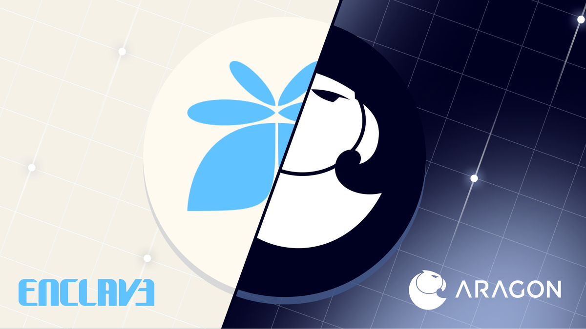 Extending Privacy in Governance: Verifiable Secret Ballots on Aragon with Enclave