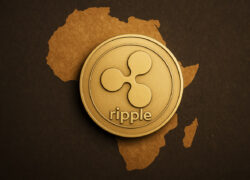 Ripple Puts IPO on Hold, Focuses on Expansion and Ecosystem Growth