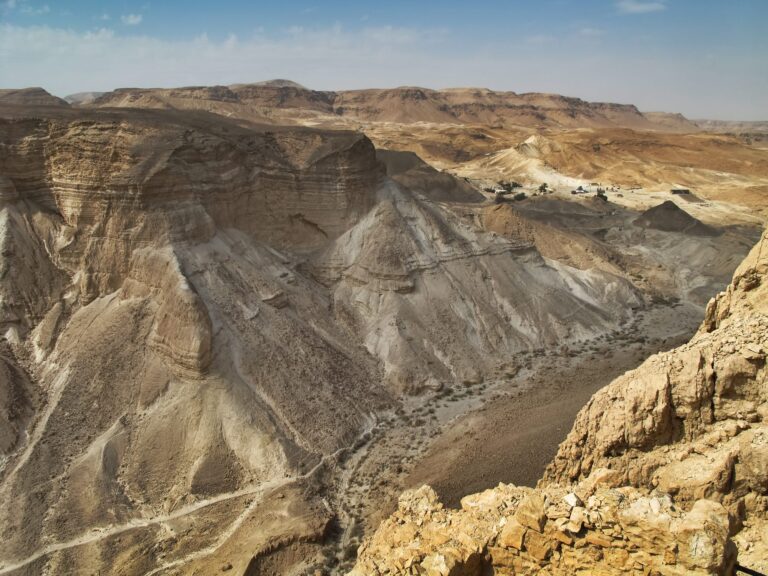 American Life: Less Ordinary - Fat Tail Daily