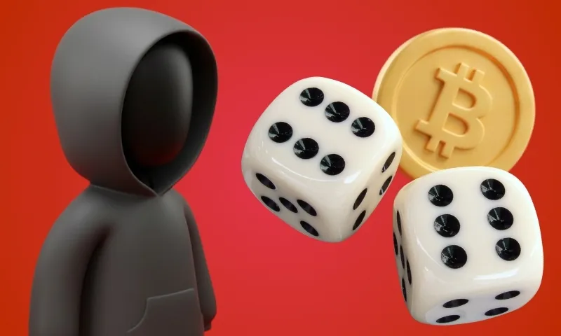 What Crypto Casinos Can and Cannot See About You | BitcoinChaser