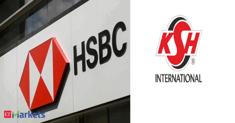 HSBC invests in KSH International's Rs 213 crore anchor round ahead of IPO