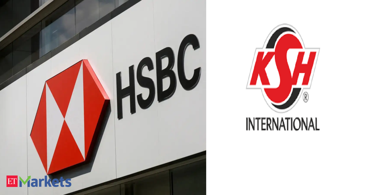 HSBC invests in KSH International's Rs 213 crore anchor round ahead of IPO