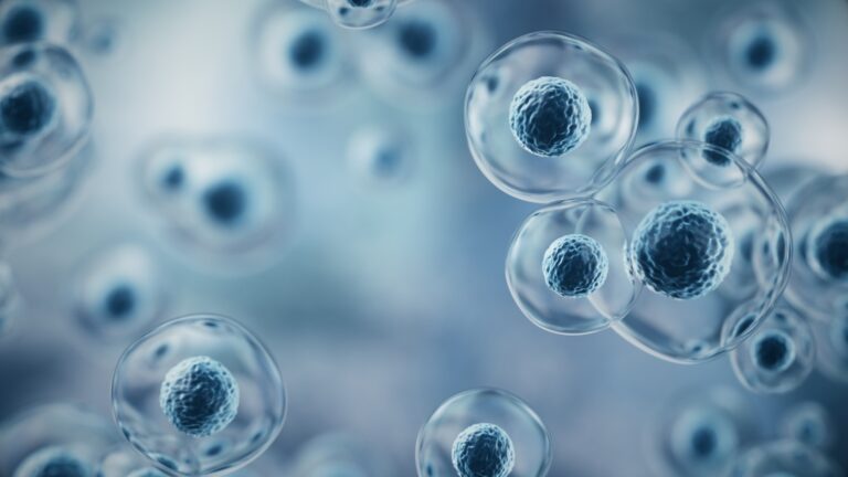 Immatics Stock: PRAME Leader’s Transition To Commercial Reality (NASDAQ:IMTX)