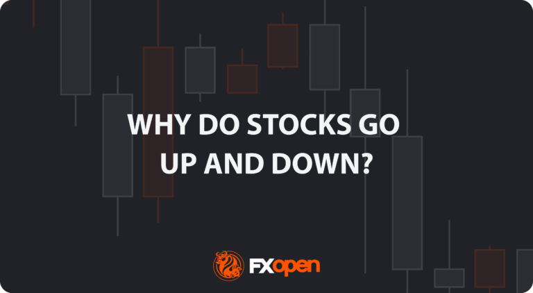 What Are the Factors That Make Stock Prices Rise and Fall?
