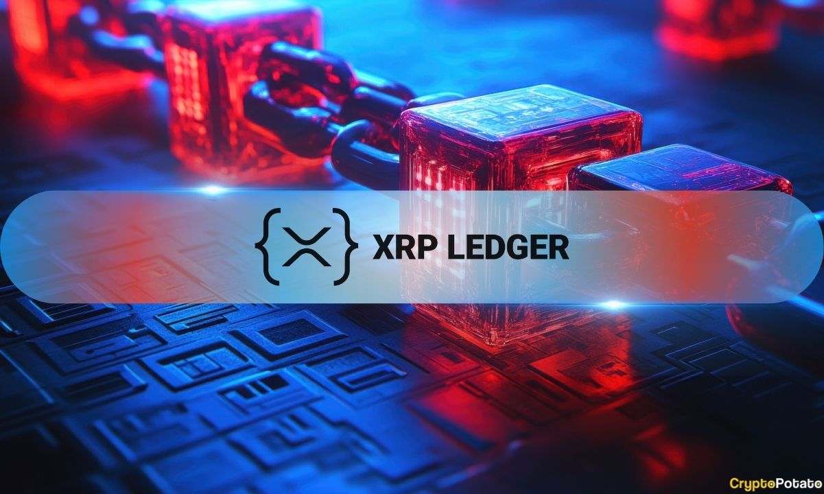 XRP Ledger Sees Record Velocity as On-Chain Activity Soars