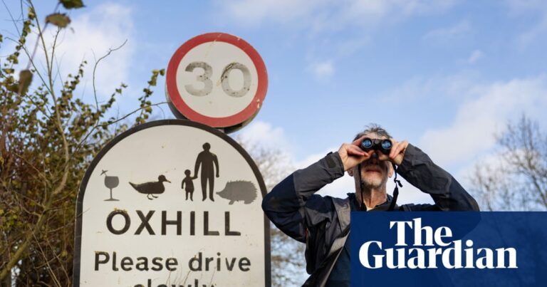 ‘It moved … it was hopping!’ One man’s search for a wild wallaby in the UK