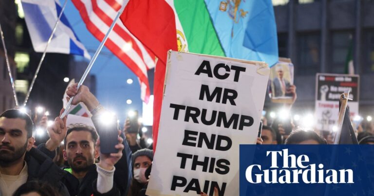 ‘It will take a generation’: Iranians abroad on the protests – and change