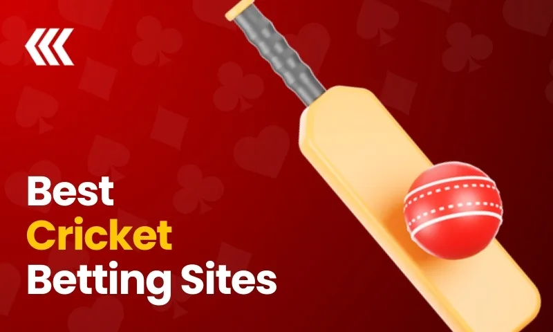 6 Best Cricket Crypto Betting Sites for the T20 & IPL | BitcoinChaser