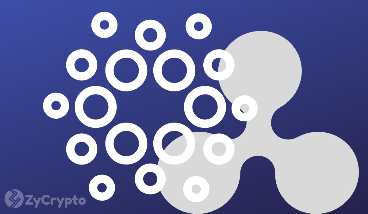 Charles Hoskinson Goes Off On Ripple CEO Garlinghouse For Supporting Flawed CLARITY Act