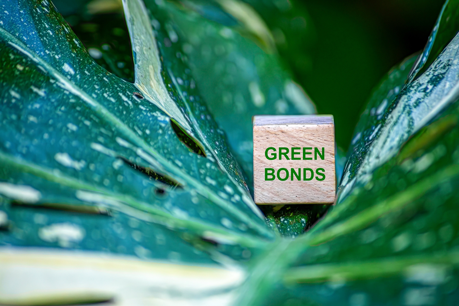 Green Bond Issuance By U.S. REITs Slows In 2025