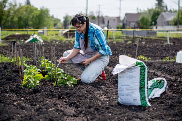 Nutrien Stock: Buy, Hold, or Sell in 2026?