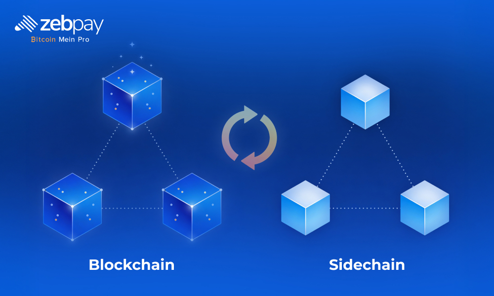 Learn about sidechains crypto