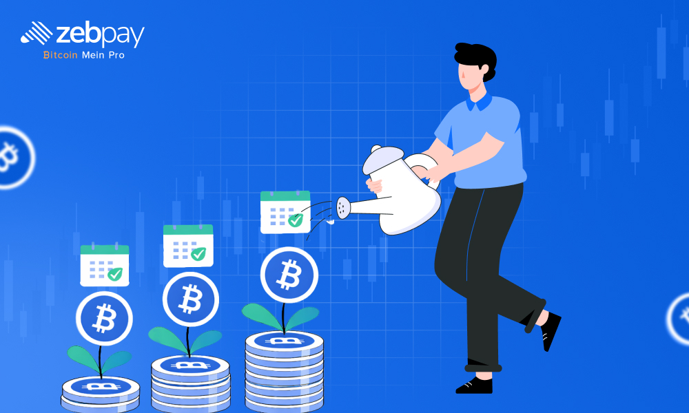 With ZebPay SIP, you can invest steadily for long-term returns.