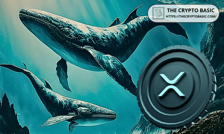 Mysterious Whales Have Moved 1,590,000,000 XRP Since January