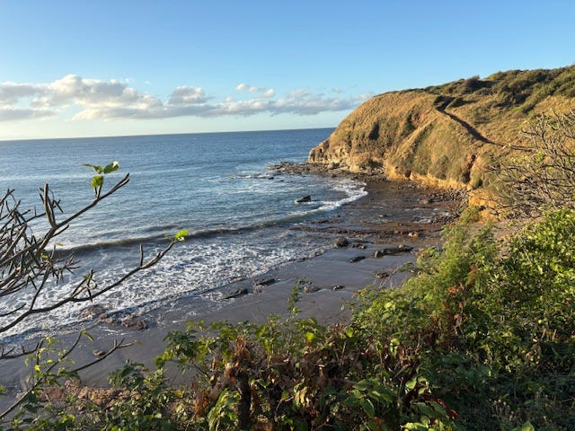 Back at the Ranch - Fat Tail Daily