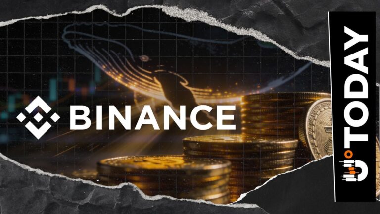 Binance Sees Major Investor Sentiment Shift: Biggest Whale Inflows Since 2024 - U.Today