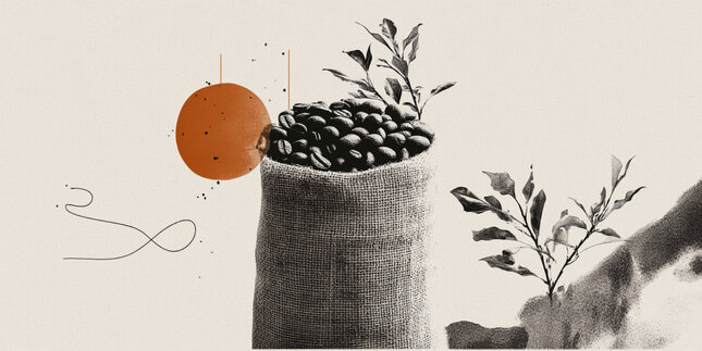 Best Forex Brokers in 2026: Top 5 brokers to trade currencies