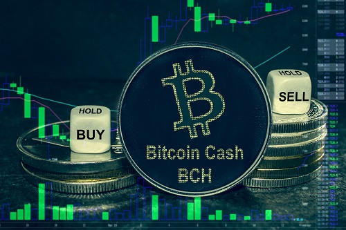 Bitcoin Cash holds near $500 despite broader crypto market slump: check 2026 outlook – CoinJournal