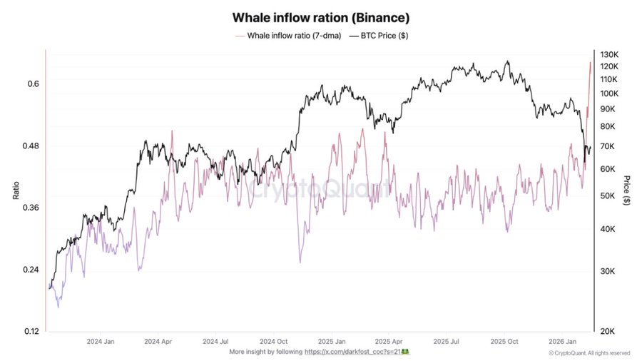 Bitcoin Whale Inflow Ratio/CryptoQuant